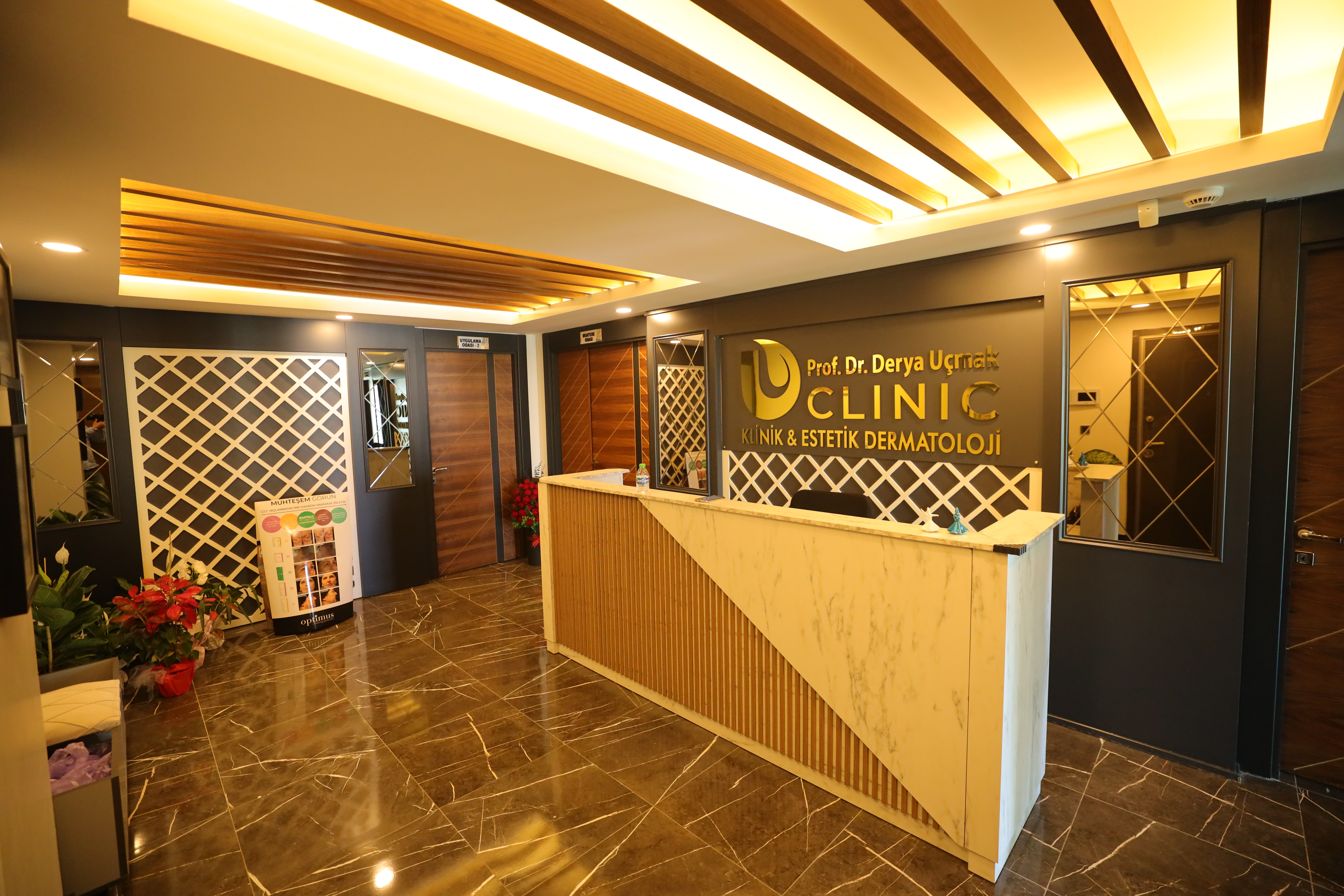 Klinik giriş ve karşılama alanı